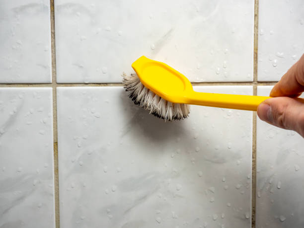 Professional Mold Remediation in Marietta, OH