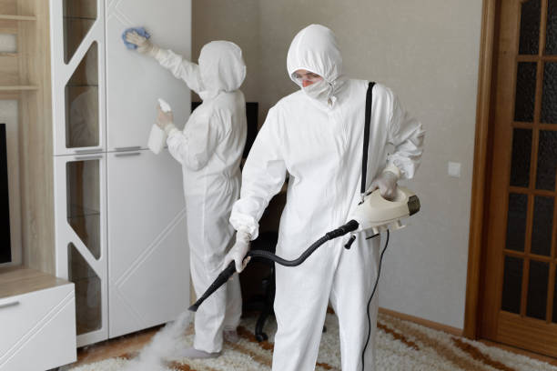 Best Post-Flood Mold Remediation in Marietta, OH