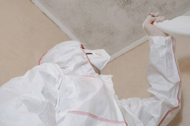 Best Commercial Mold Remediation in Marietta, OH