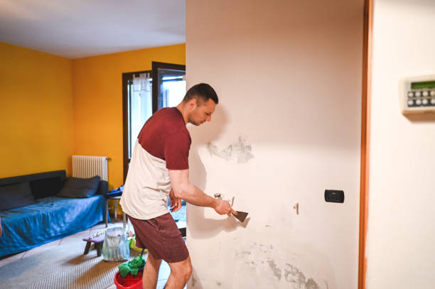 Best Residential Mold Remediation in Marietta, OH